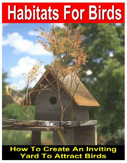 Habitats For Birds - How To Create An Inviting Yard To Attract Birds - PDF eBook